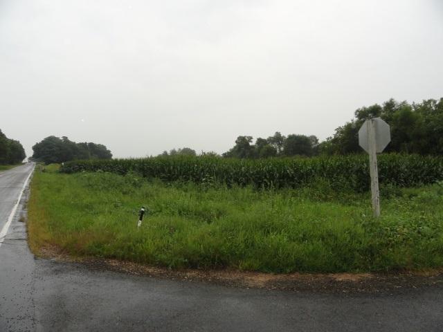 35 Ac County Road B - Photo 1