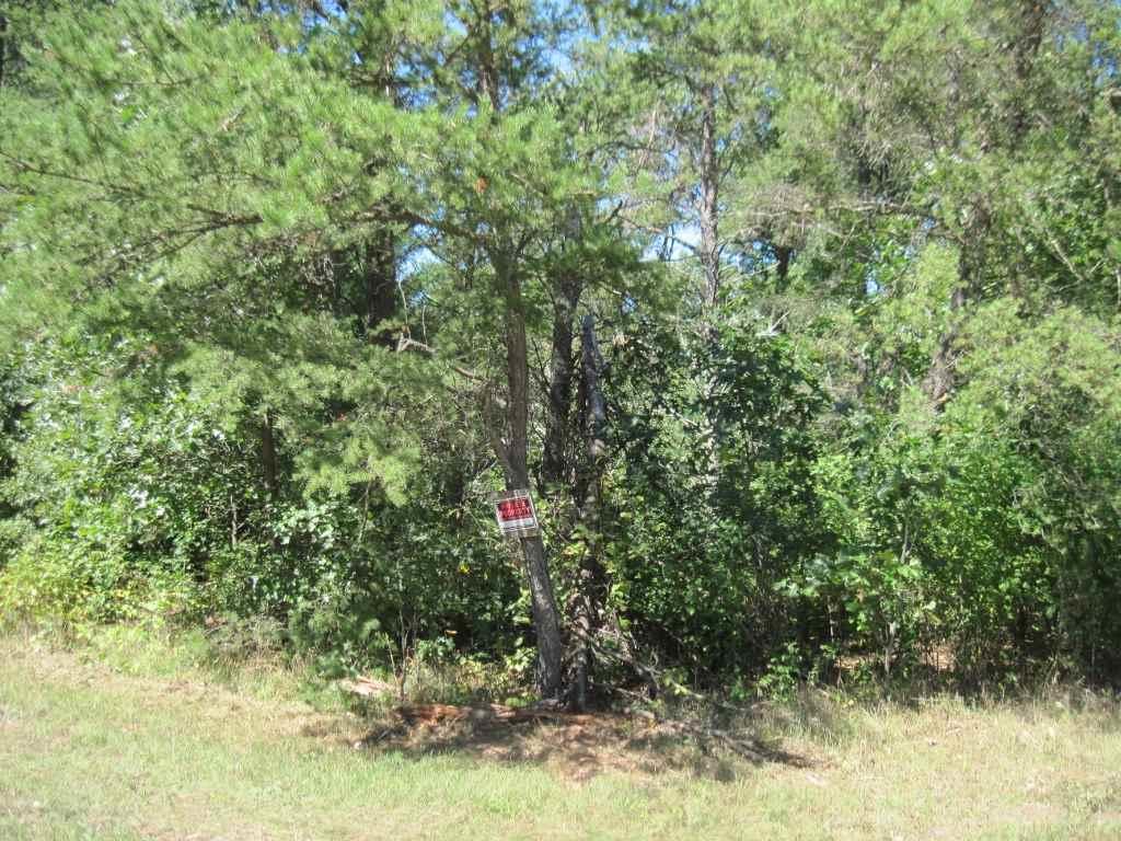 L65 Fern Ave - Photo 1