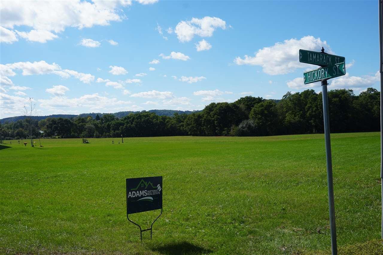 .56 Ac Hickory St - Photo 1