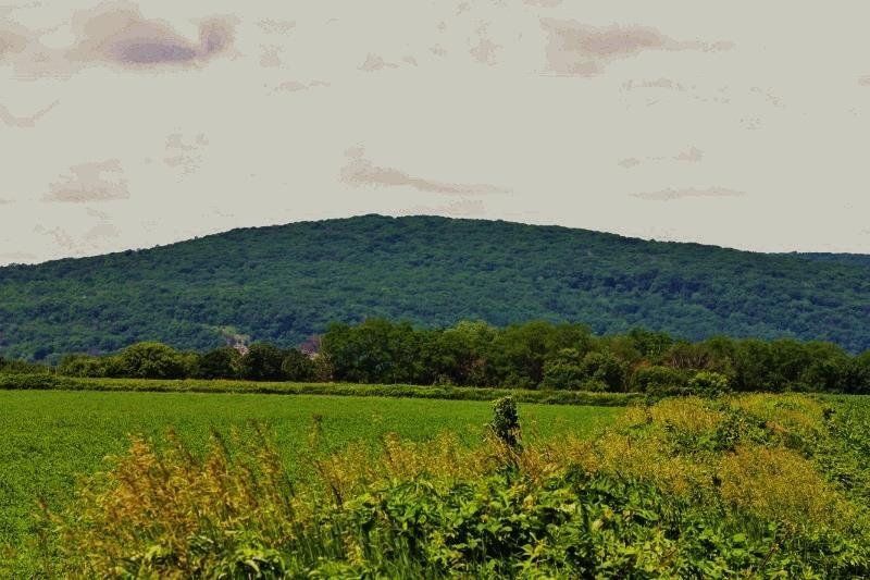 L5 Devil's Doorway Rd - Photo 1