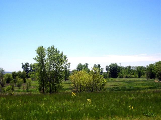 L133 Autumn Harvest Way - Photo 1