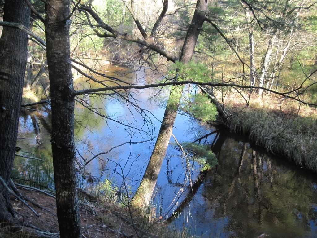317 Ac County Road C - Photo 1