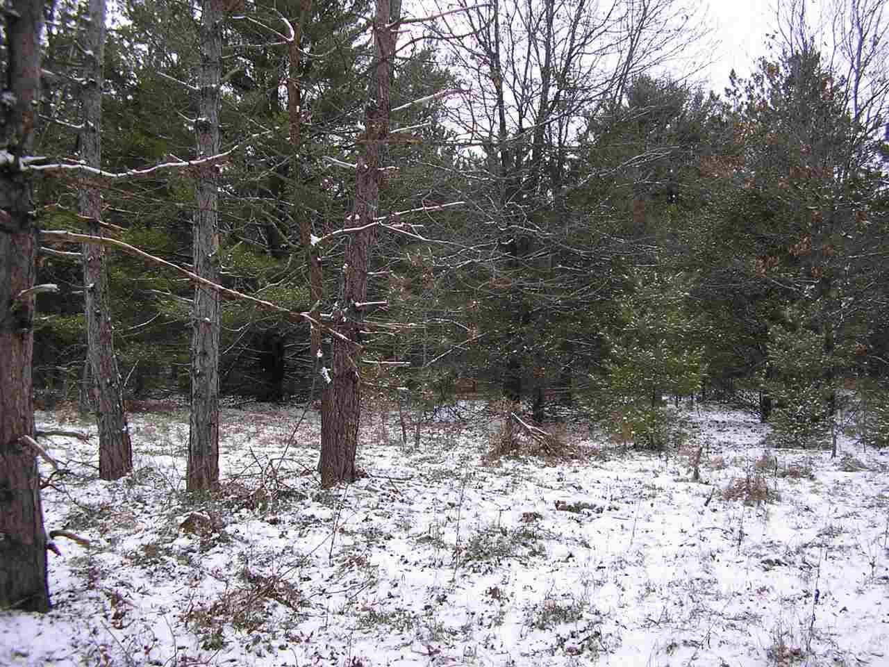 2.72 Ac 18th Dr - Photo 1