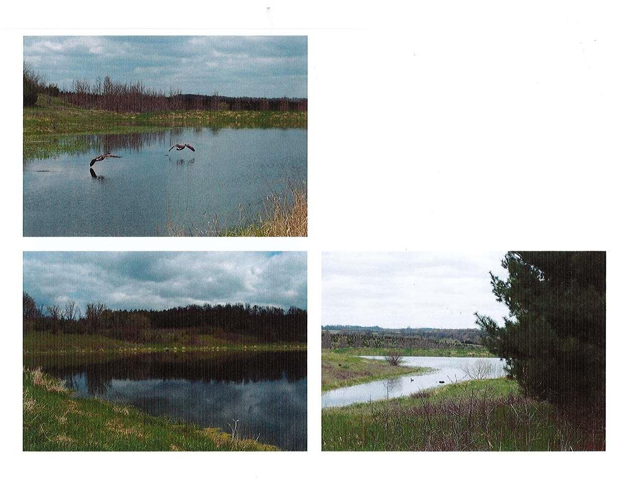 81 Ac Pecatonica Rd - Photo 1