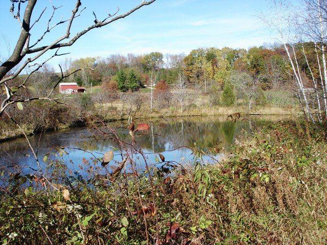 404 Ac Herritz Rd - Photo 1