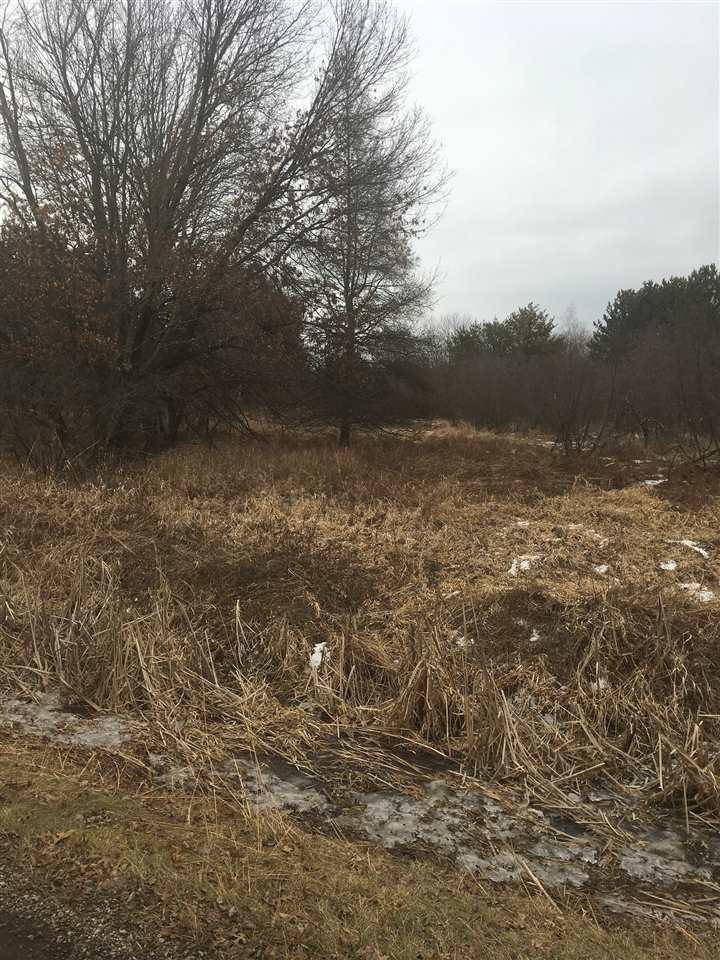 44.21 Ac Pine Rd - Photo 1