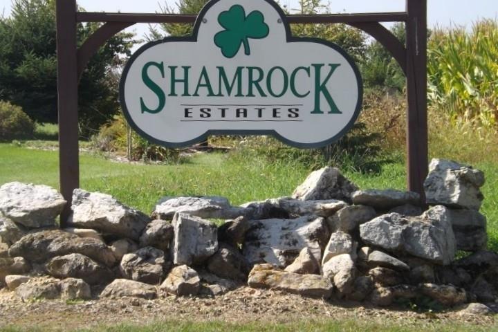 L66 Blarney Stone Dr - Photo 1