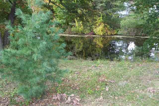L3 Lakeview Ct - Photo 1