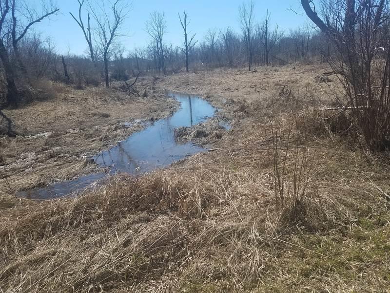 42.32 Ac Hwy 58 - Photo 1