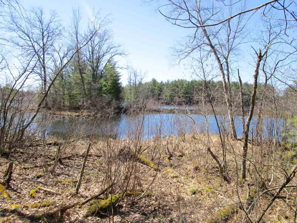 1333 10th Ln - Photo 1