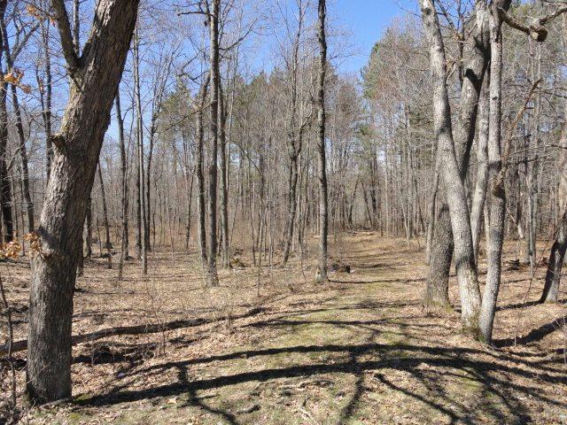 L51 Trout Rd - Photo 1