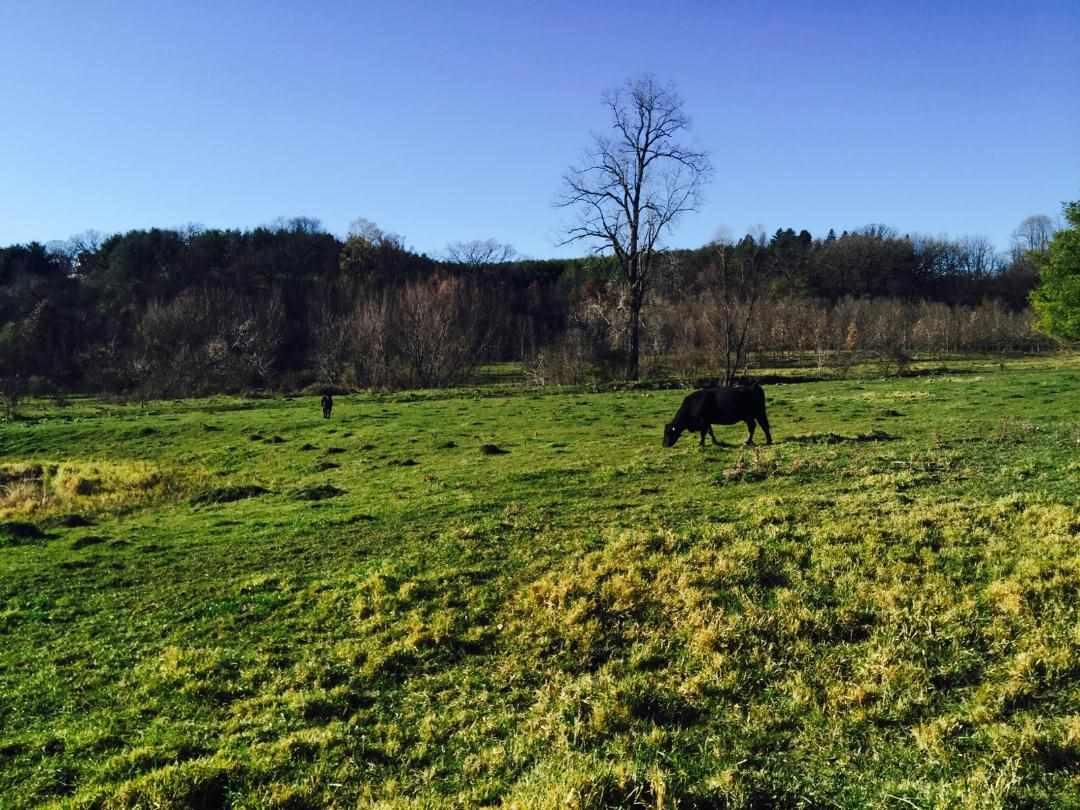 35 Ac Crist Ln - Photo 1
