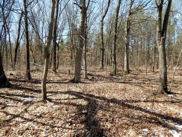 L20 Bass Lake Ln - Photo 1