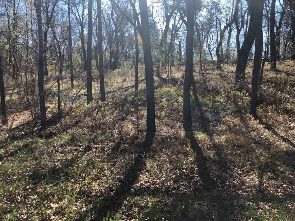 5.30 Ac 16th Ave - Photo 1
