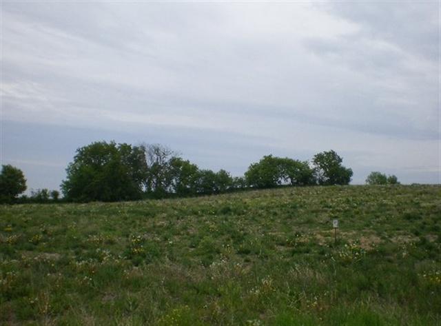 L9 Karau Ave - Photo 1