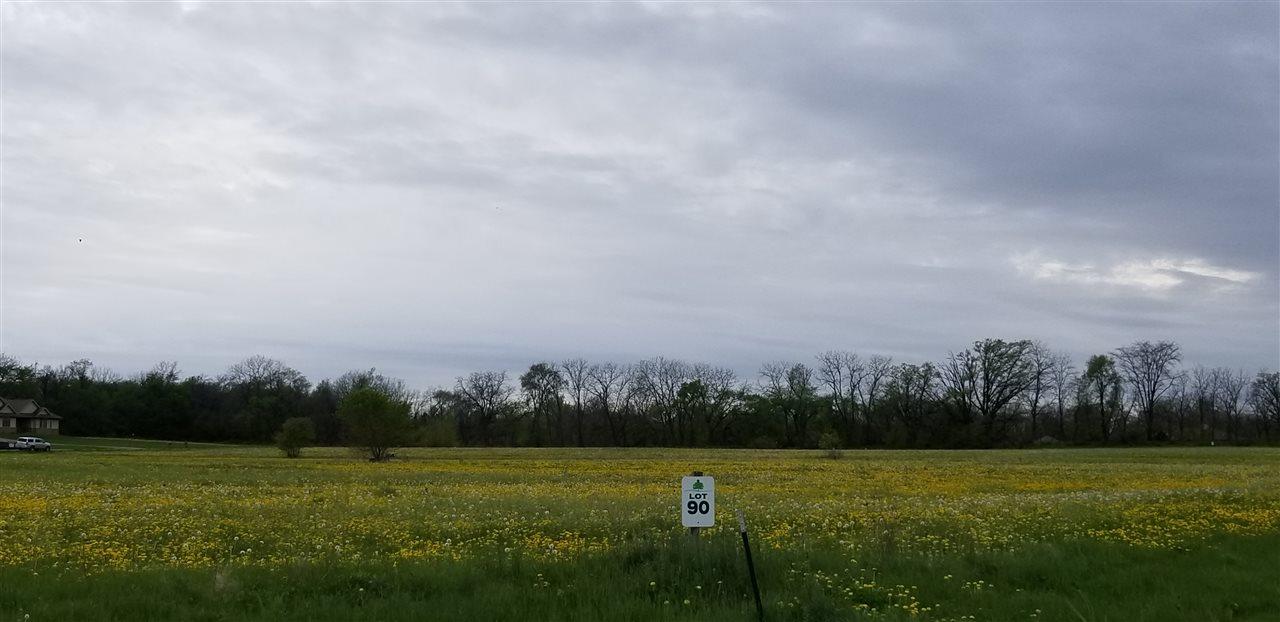 L90 Amberwood Ln - Photo 1
