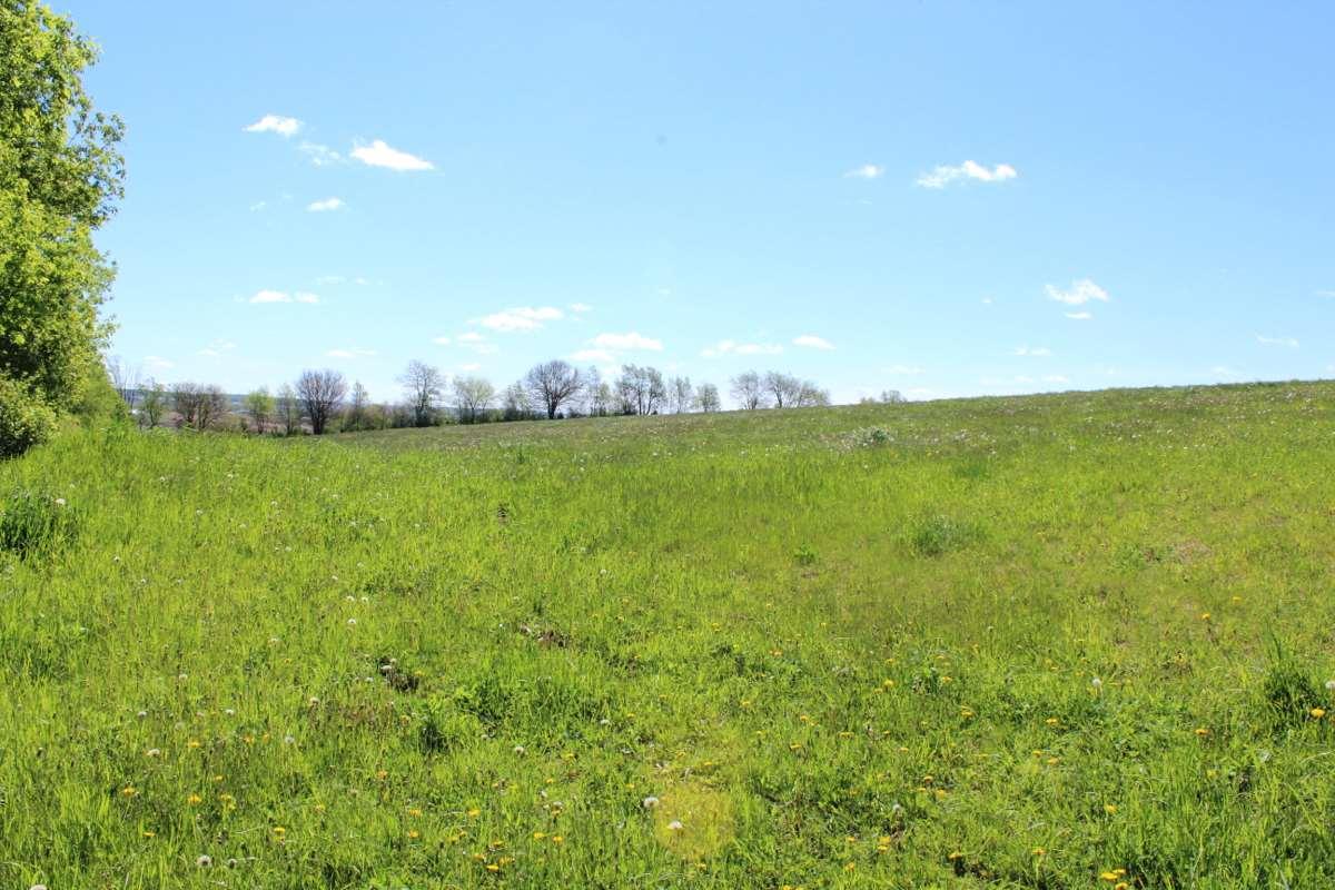 40 Ac Towns Rd - Photo 1