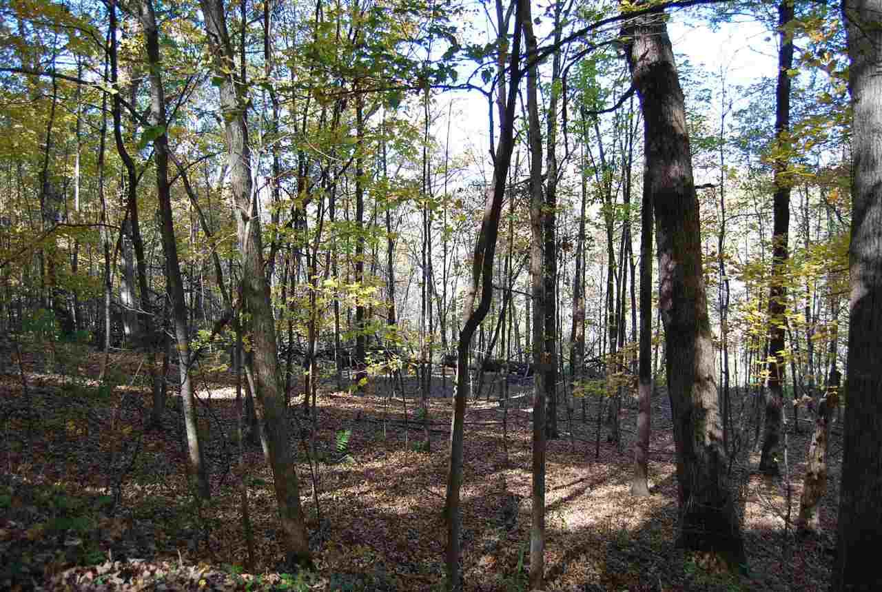6.34 Ac Eggbrecht Rd - Photo 1