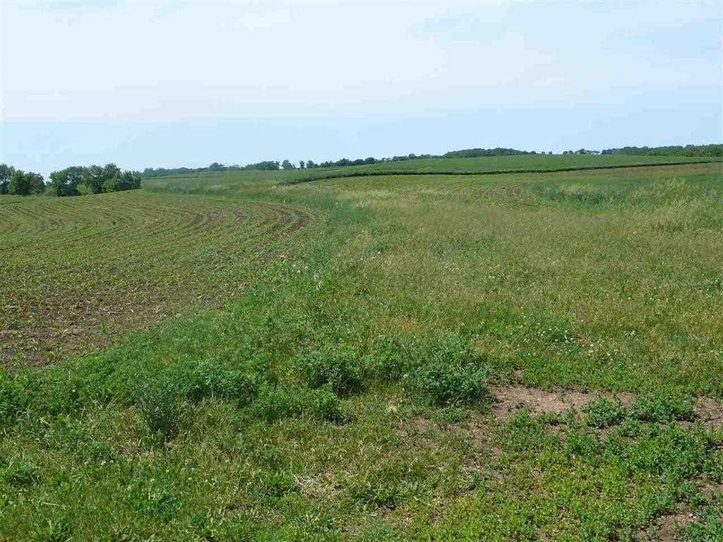 135.8 Ac Rock Rd - Photo 1