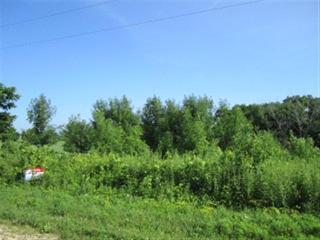 1.84 Ac River Forest Dr - Photo 1