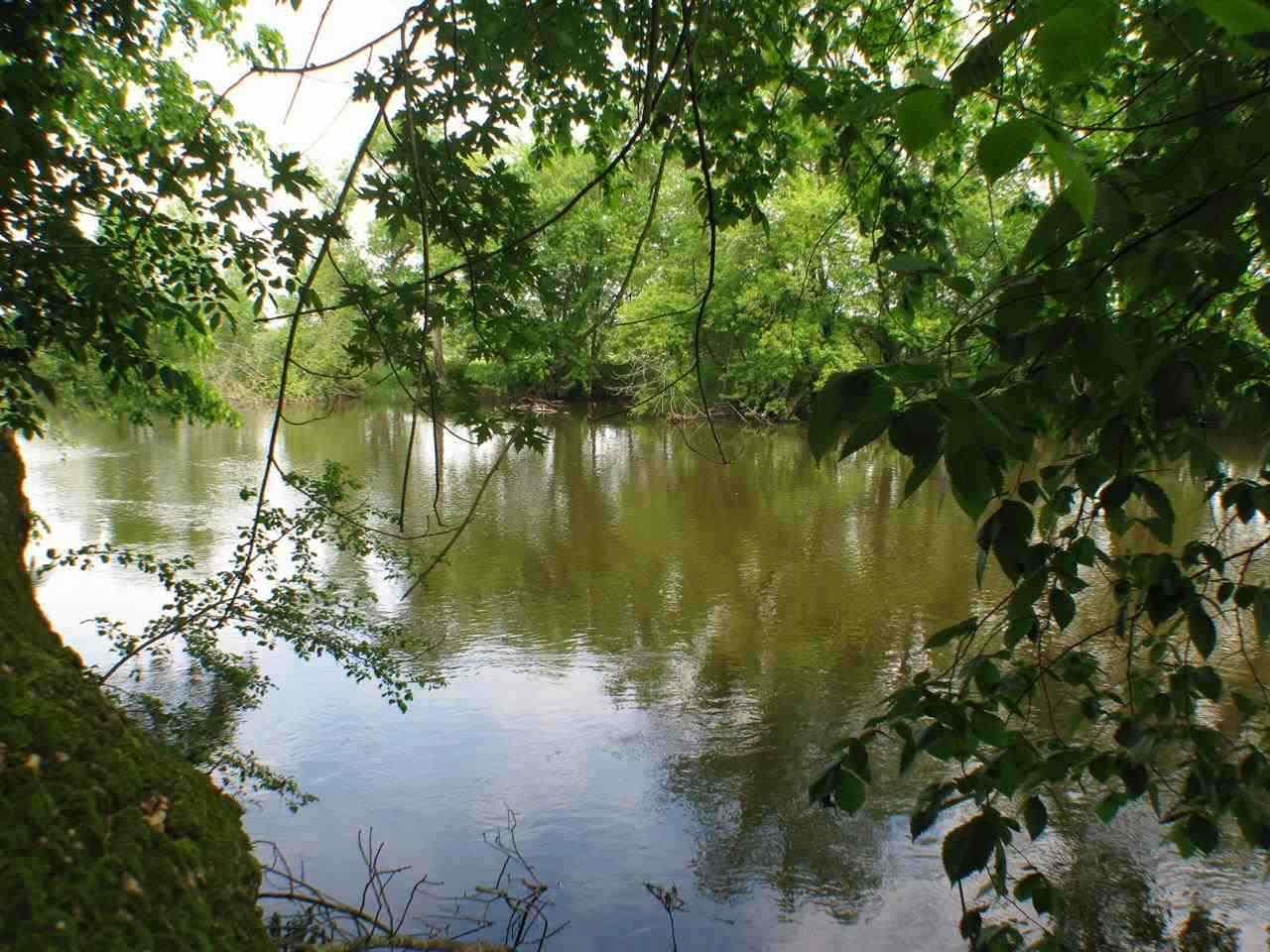 1.82 Ac Oxbow Tr - Photo 1