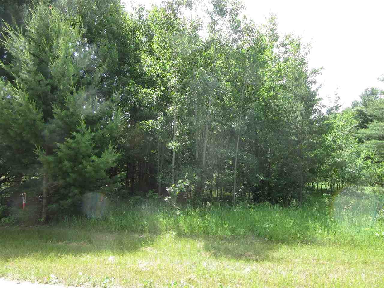 L33 Fawn Ave - Photo 1