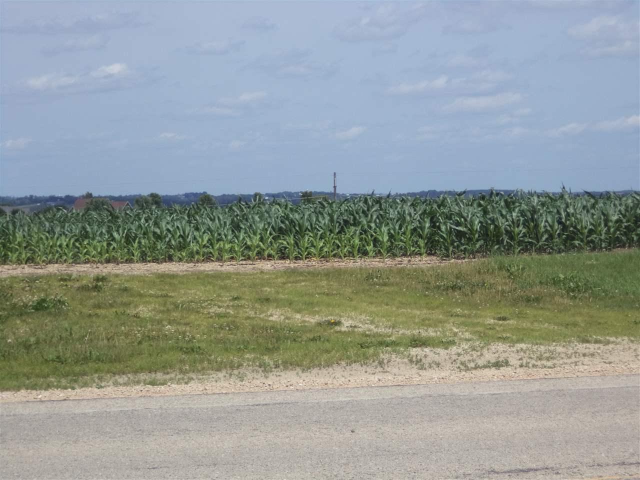35.37 Ac Hwy 81 - Photo 1