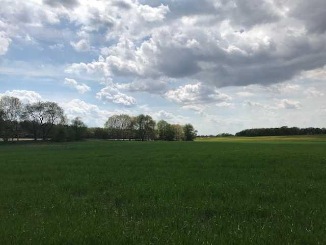 L6 Rattman Rd - Photo 1