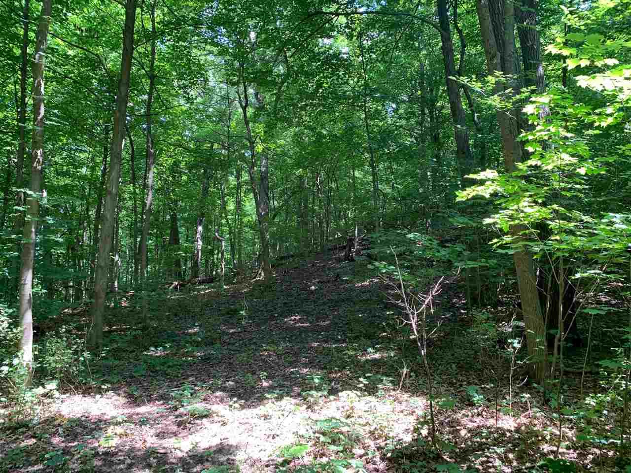 10.77 Ac County Road F - Photo 1