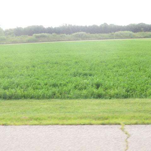 1.76 ac Louise Ln - Photo 1