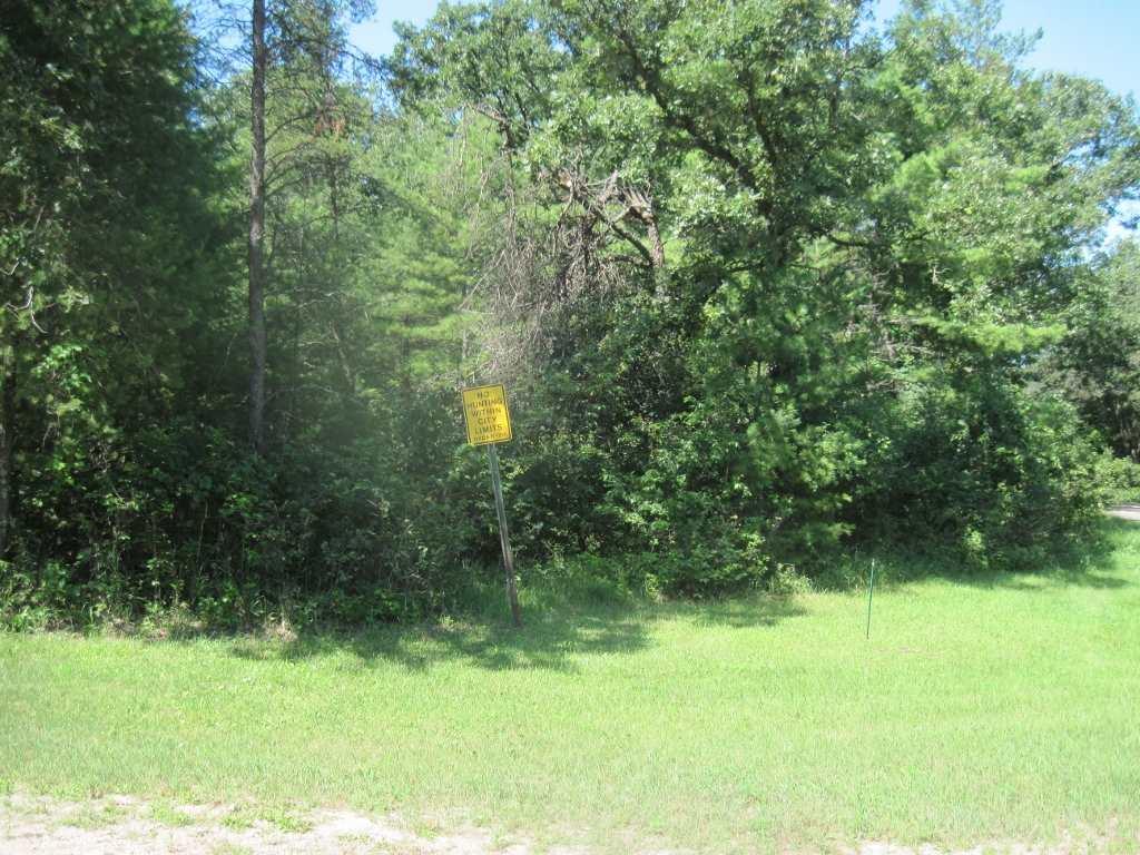 18.85 Ac Deerborn Ave - Photo 1