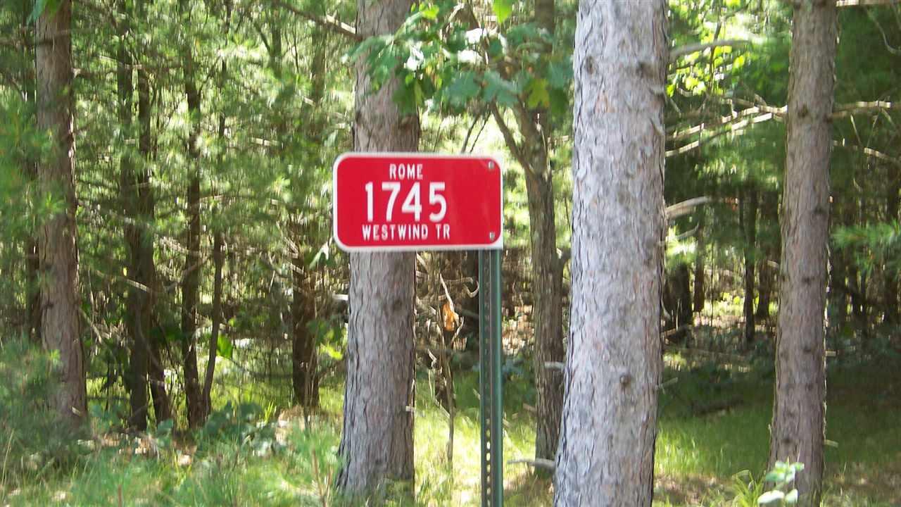 1745 Westwind Tr - Photo 1