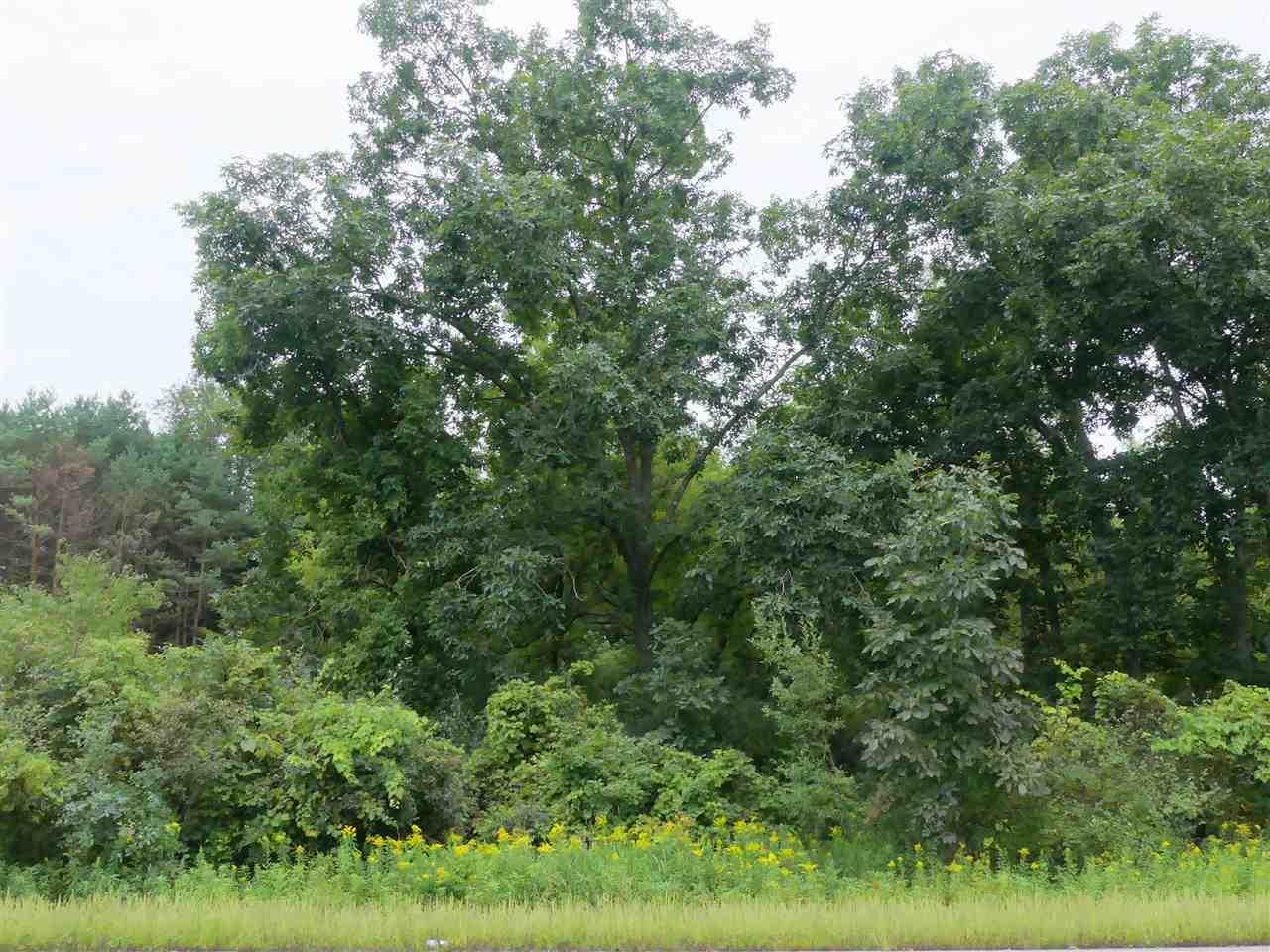 Lot 40 1st Ln - Photo 1