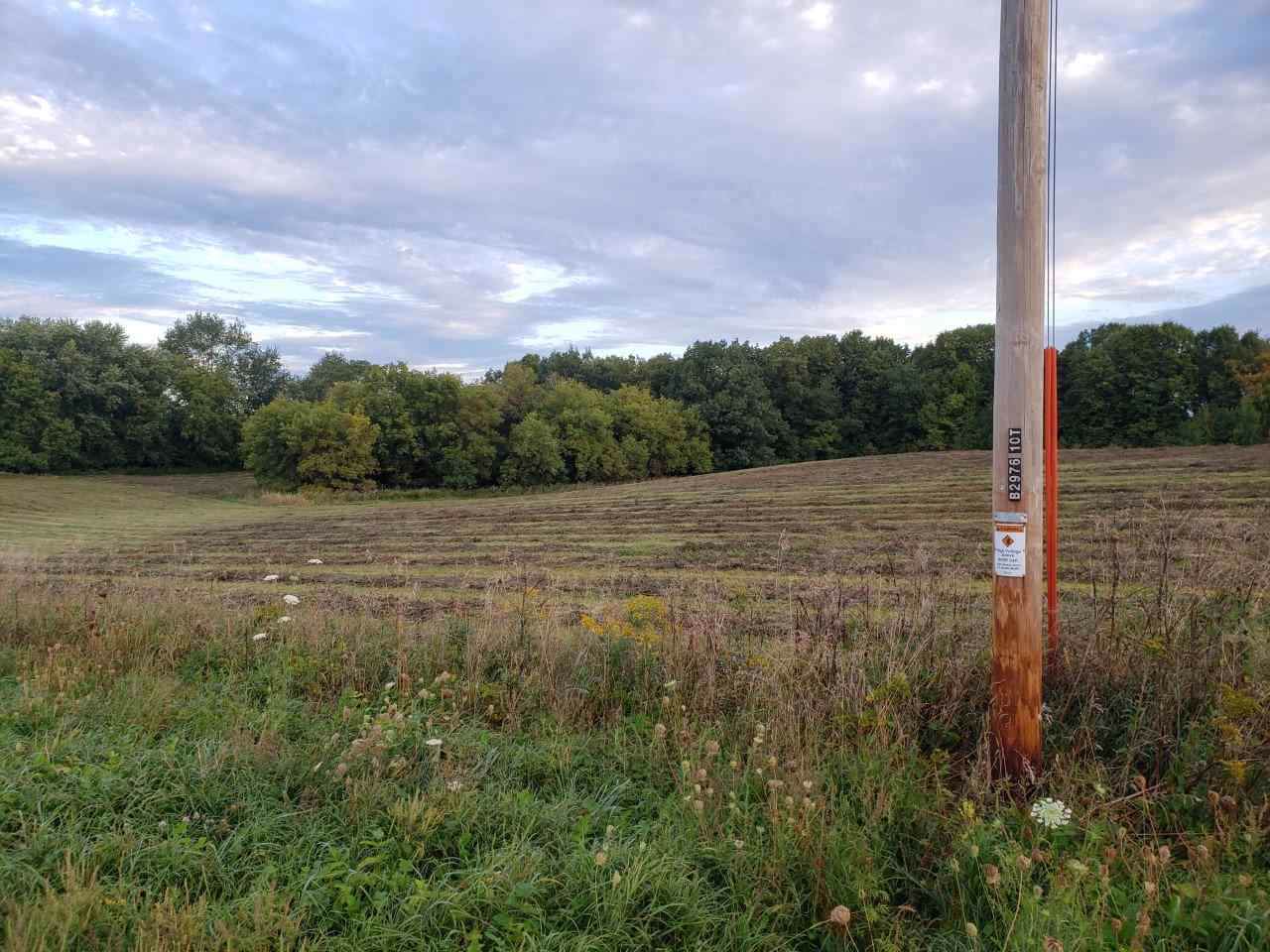18.64 Ac Hatchery Rd - Photo 1