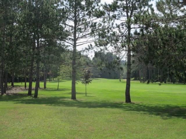 L2 Reedsburg Rd - Photo 1