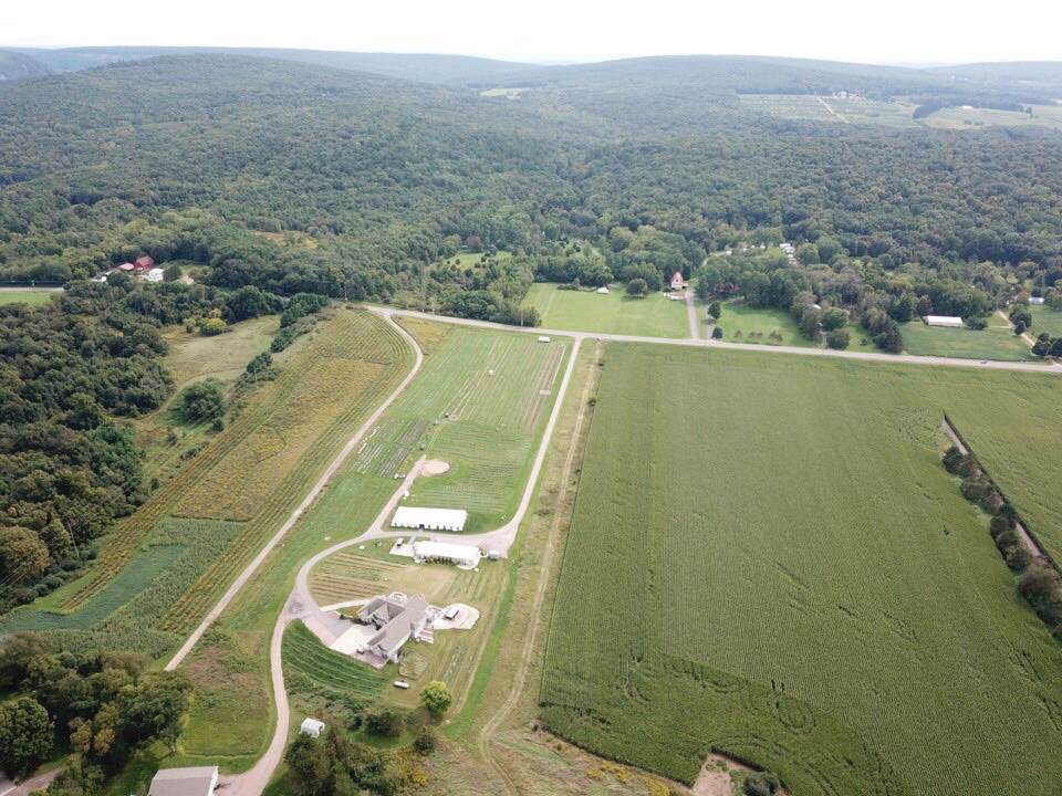 L1-L3 Hwy 159/136 - Photo 1