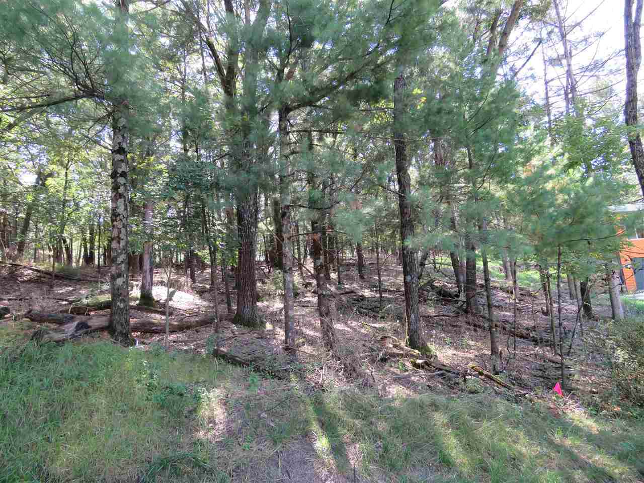 0.17 Ac Flath Rd - Photo 1