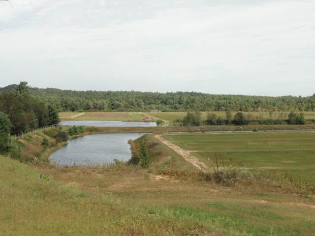 7326 Division Rd - Photo 1
