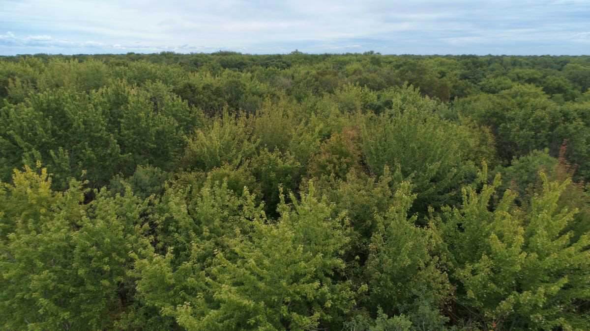 72.68 Ac 10th Ave - Photo 1