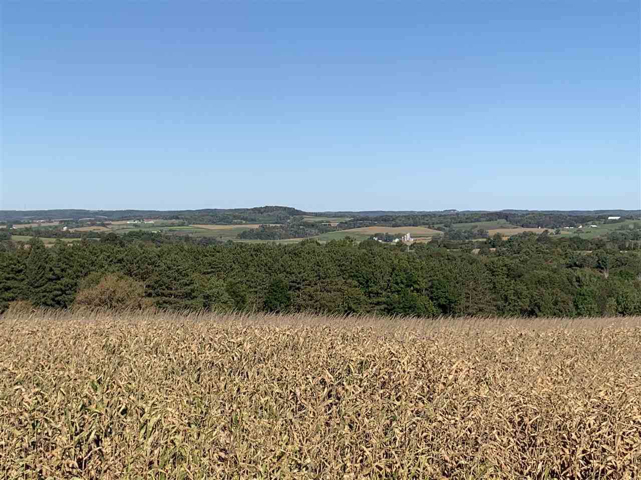 36.18 Acres Schaller Rd - Photo 1