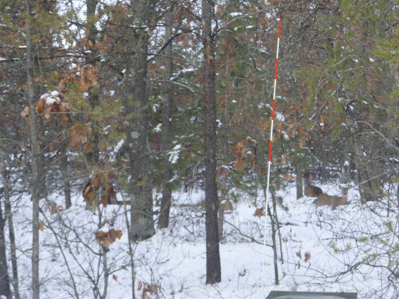 415 Duffers Tr - Photo 1