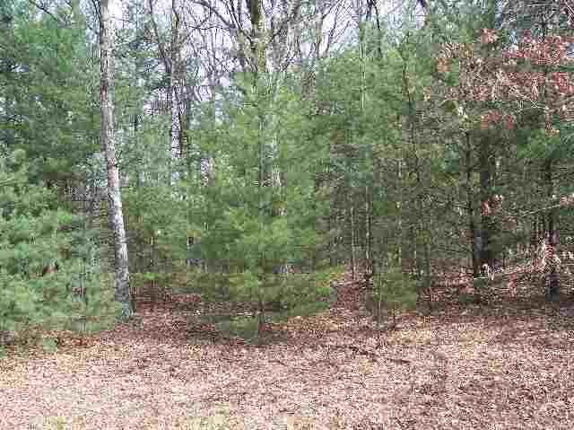 794 Czech Ct - Photo 1