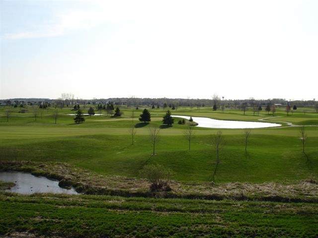 805 Ronald Overlook - Photo 1