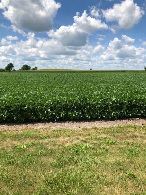 7500 (B) Hwy 140 - Photo 1