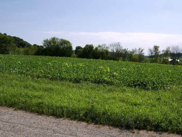 30 Ac Hwy 19 - Photo 1
