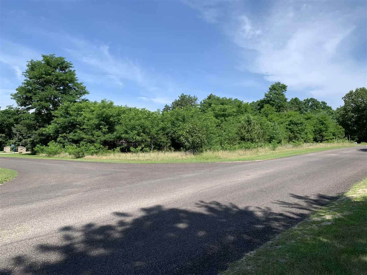 Lot28 Busse Ln - Photo 1