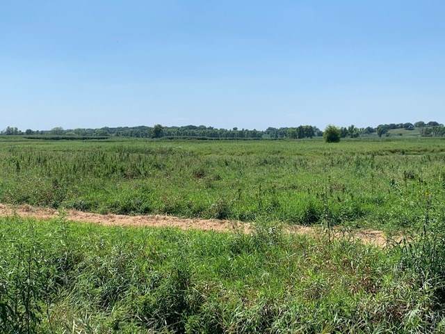 35.21 Ac Washington Rd - Photo 1