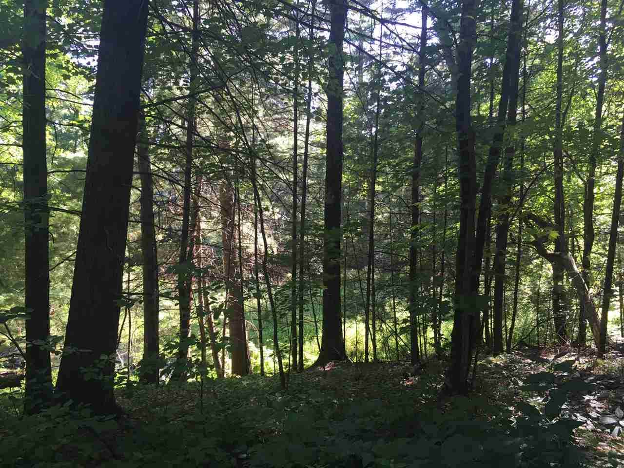 383 Oakbrook Dr - Photo 1
