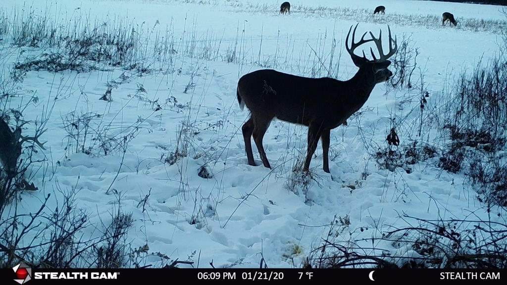 68 AC Hwy 12/16 - Photo 1