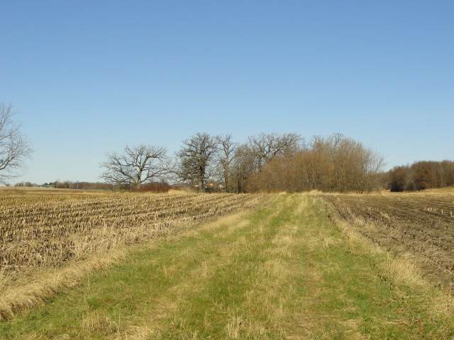 10 Acres County Road Cw - Photo 1